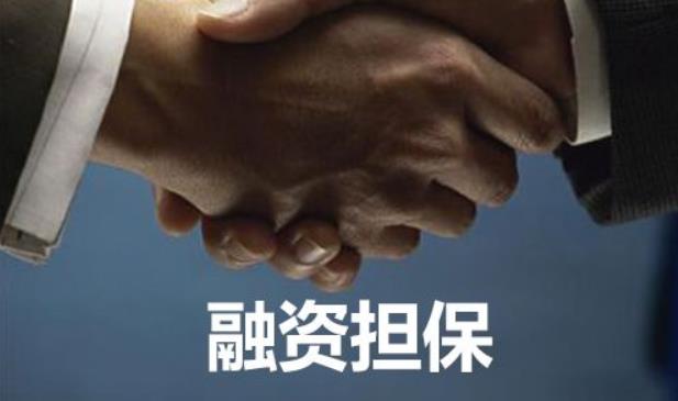 政府性融資擔保機構不以營利為目的