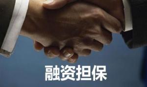 政府性融資擔保機構不以營利為目的