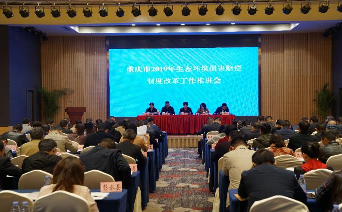 重慶市召開生態環境損害賠償工作推進會
