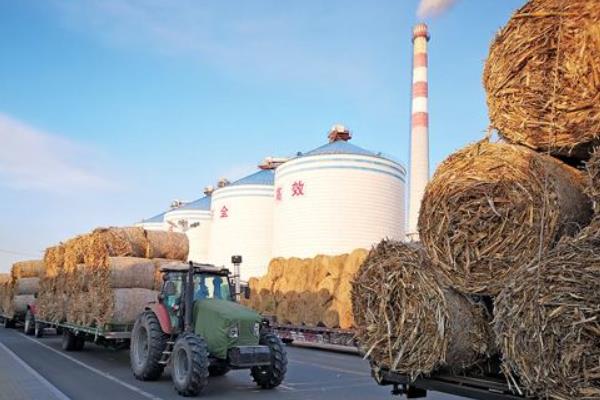 華能集團首個自主投建的生物質熱電聯產項目開工